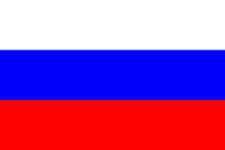Russia Business eVisa Standard